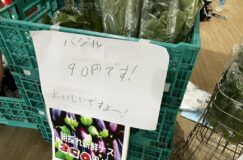 9/22採れたて新鮮野菜販売に行ってまいりました！