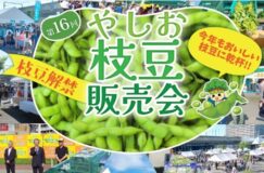 第16回やしお枝豆販売会