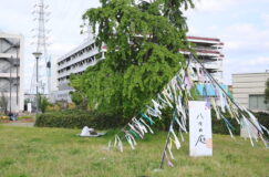 “好き”が集まる心地よい1日「八々の庭」に遊びに行ってきました